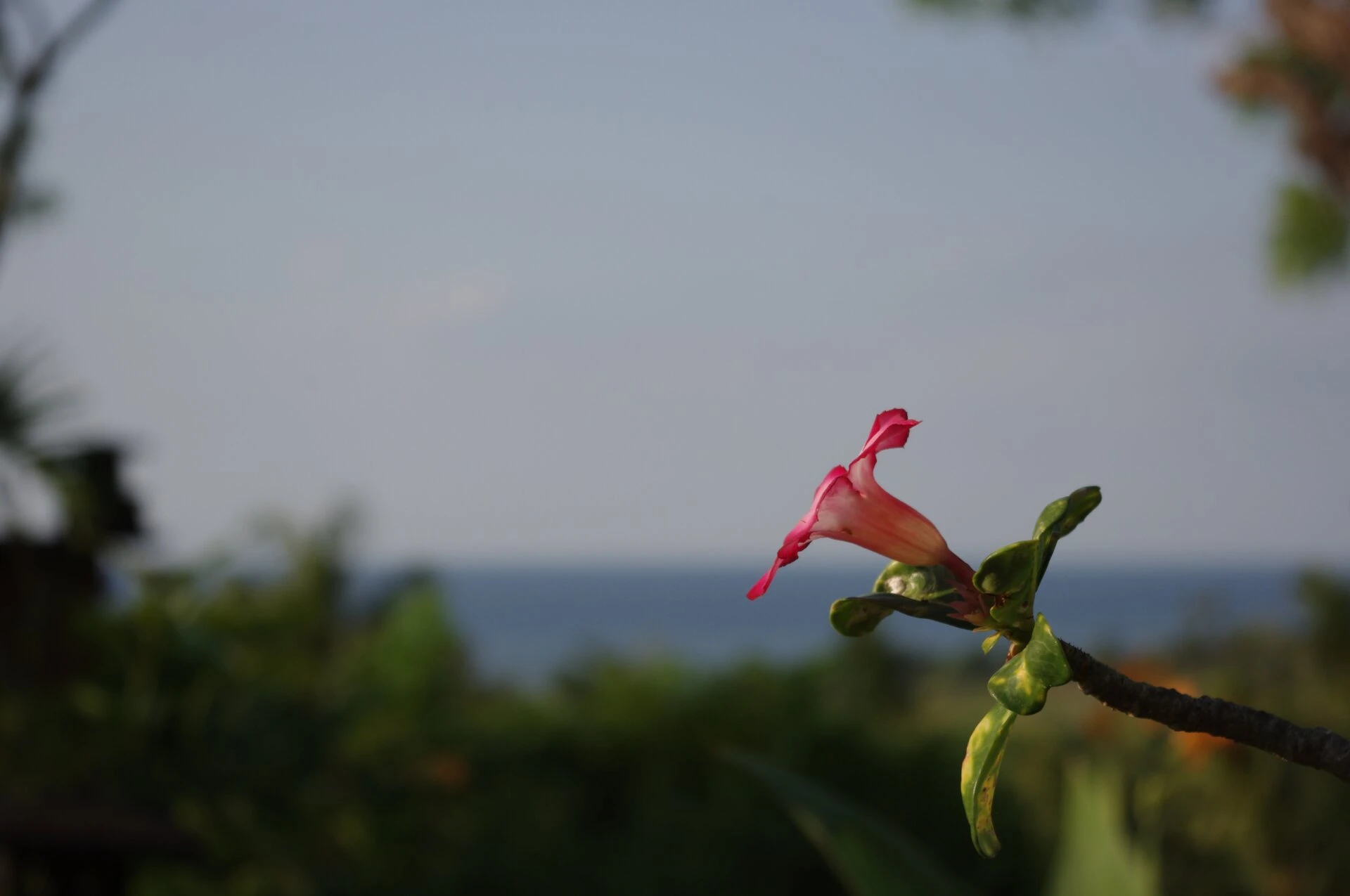 Peaceful land