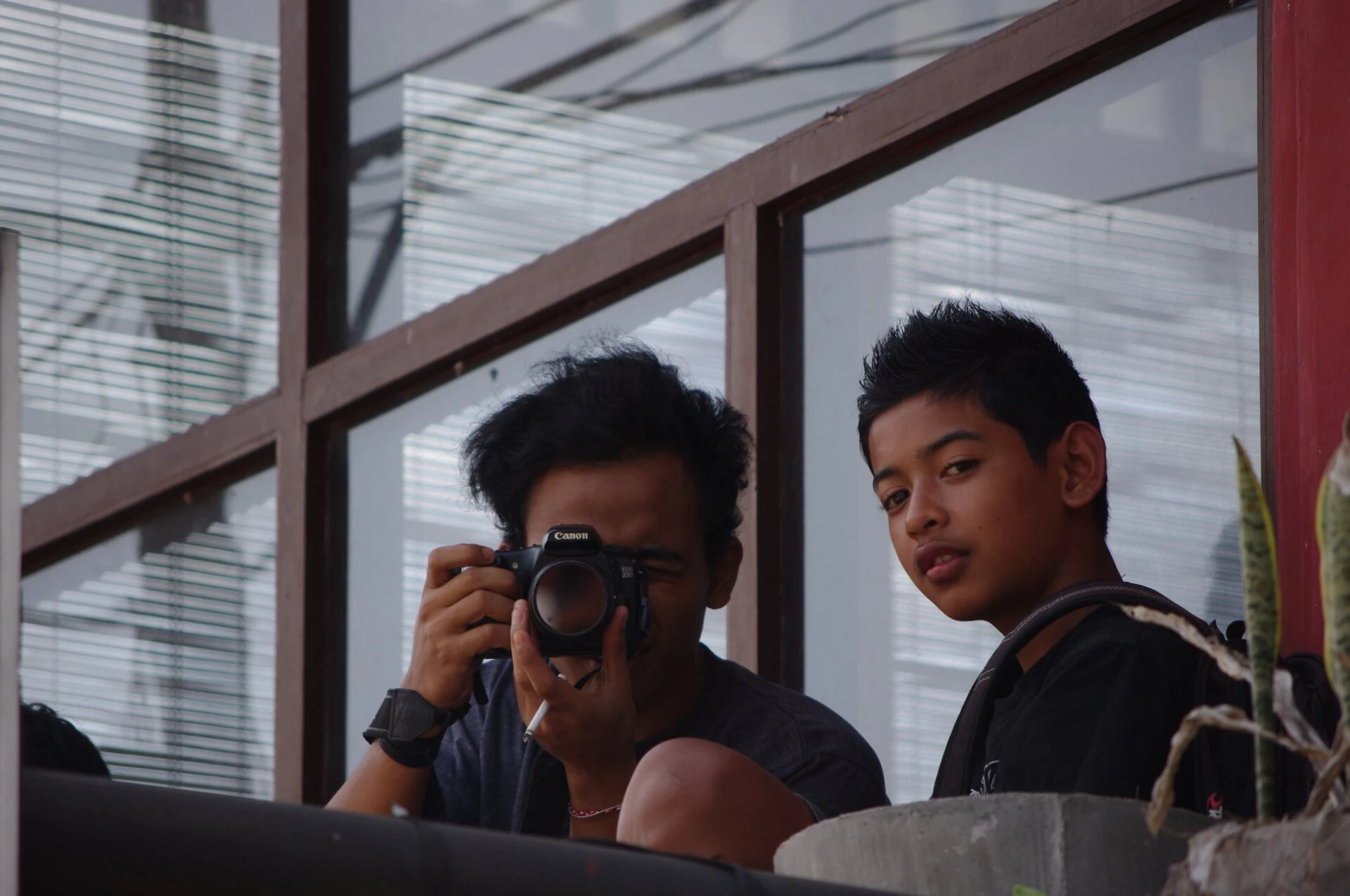 Shoot