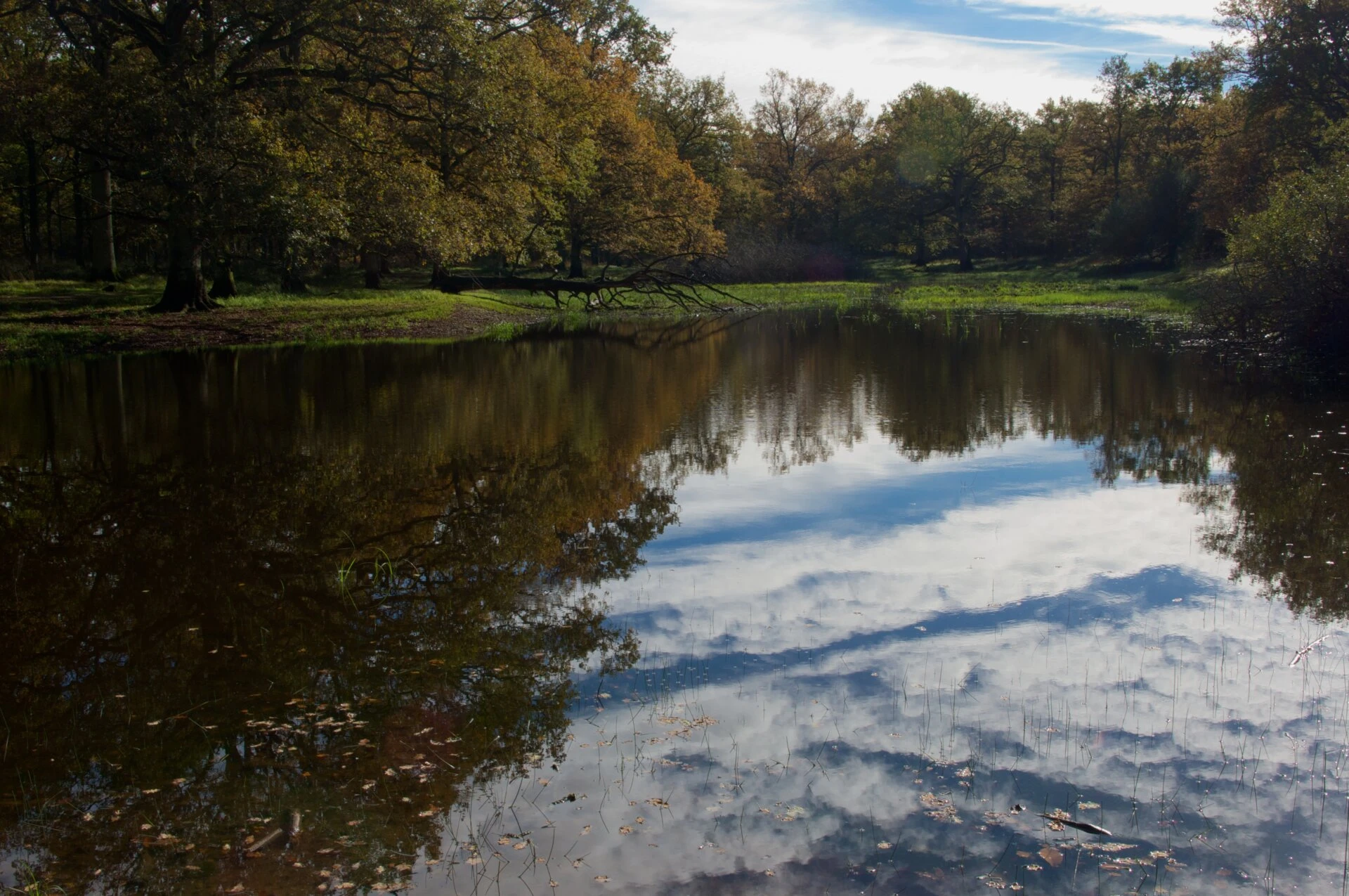 Miroir