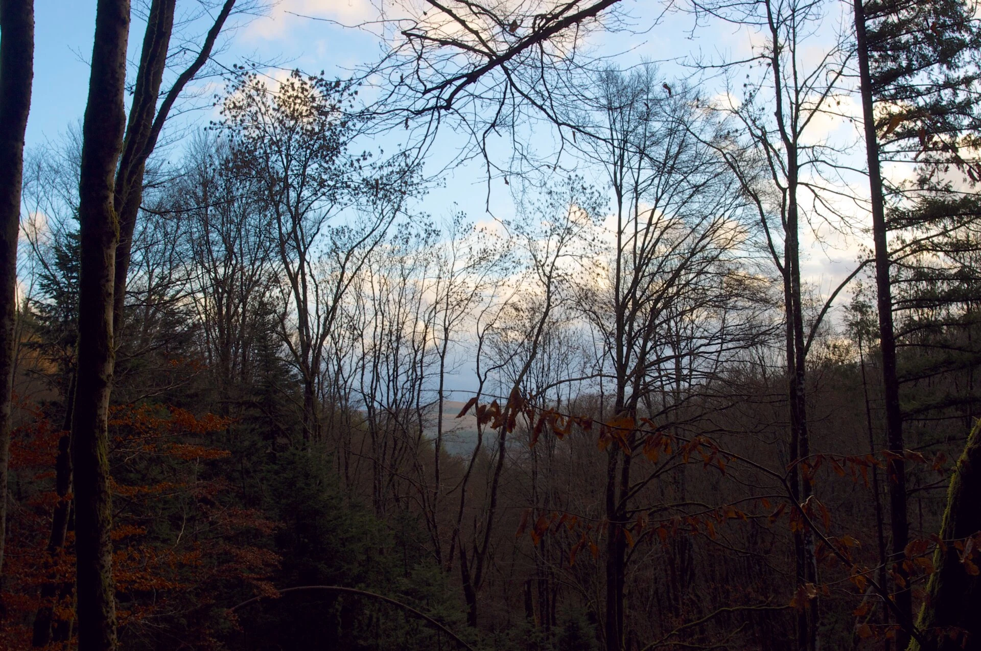 Hiver en Morvan