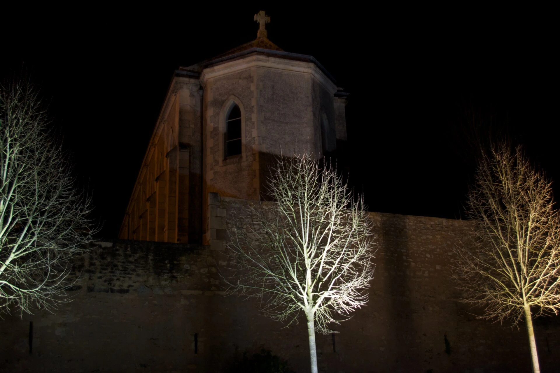 3 arbres