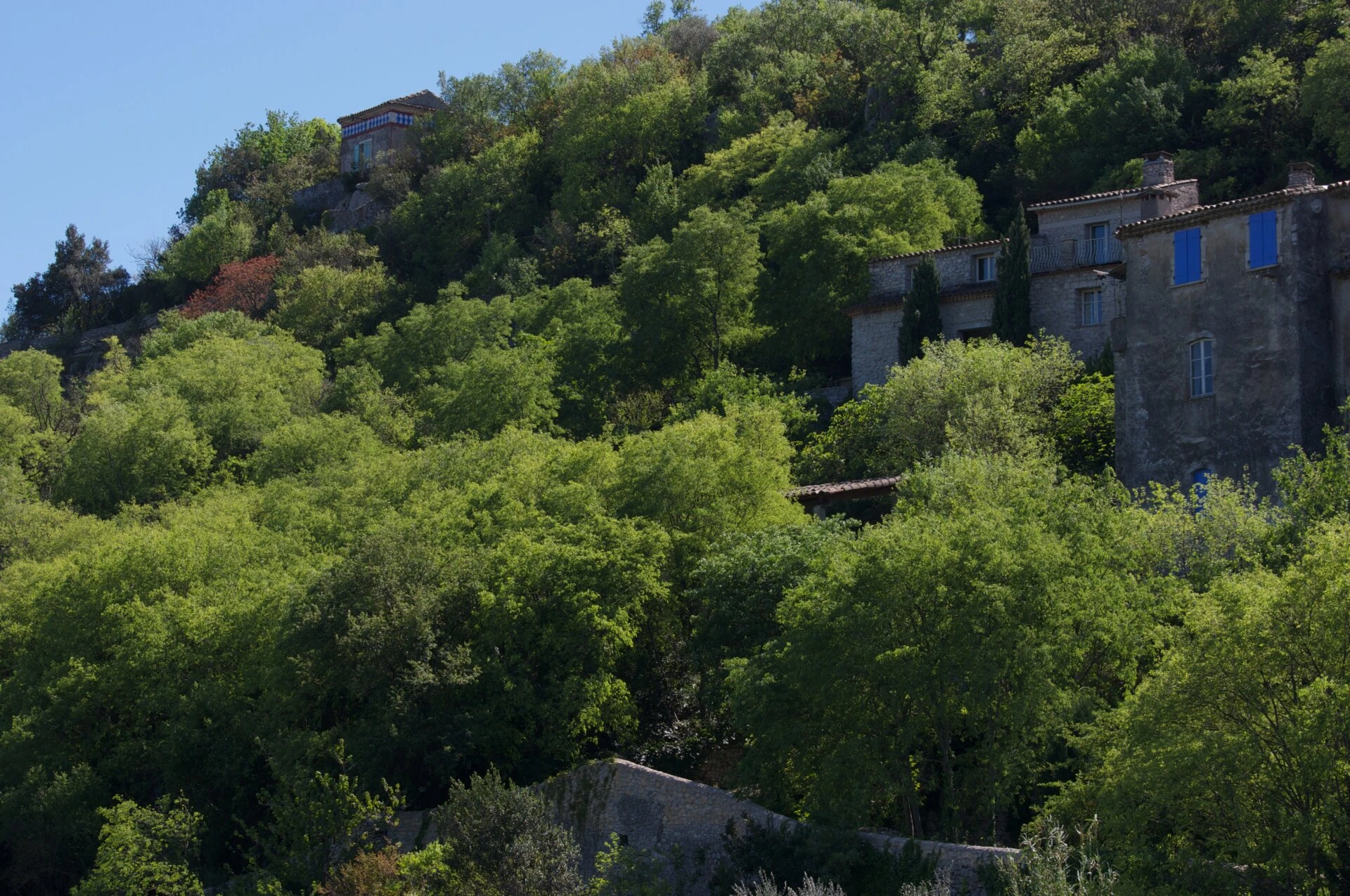 Marée verte (hauts de Sauve)