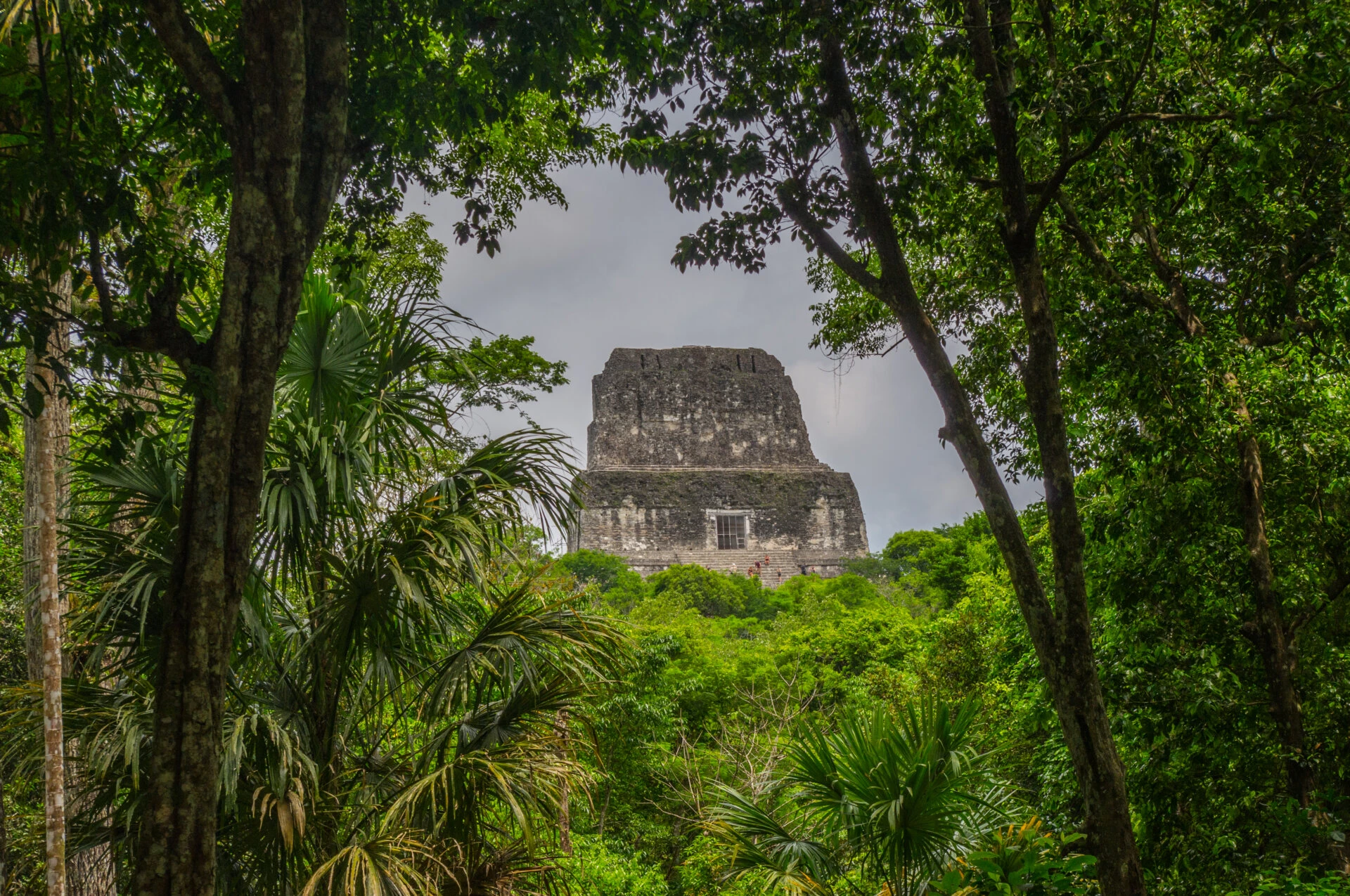 Templo IV