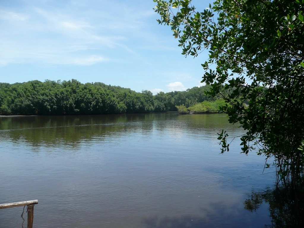 Los Rios