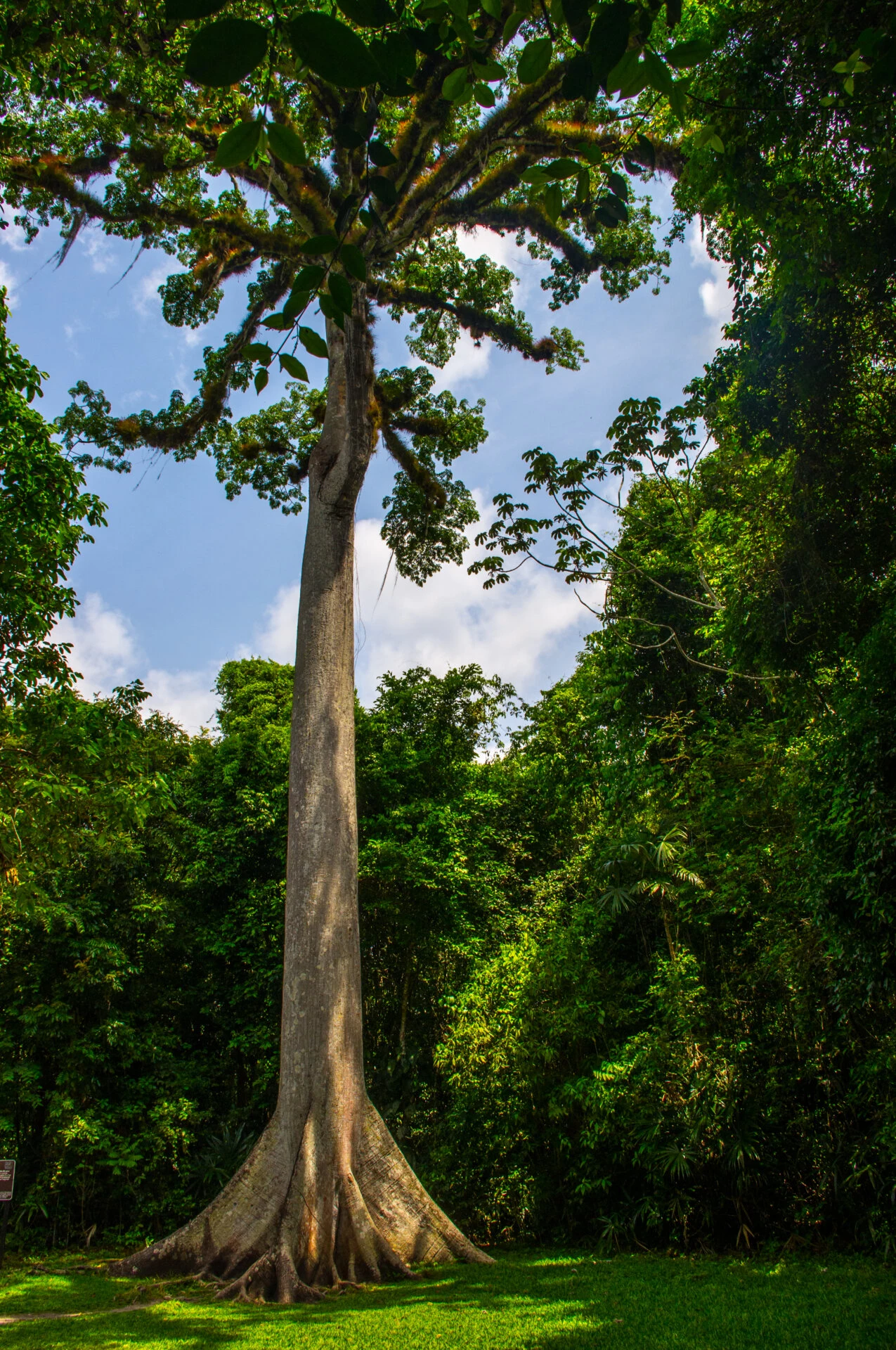 Tikal, Guatemala