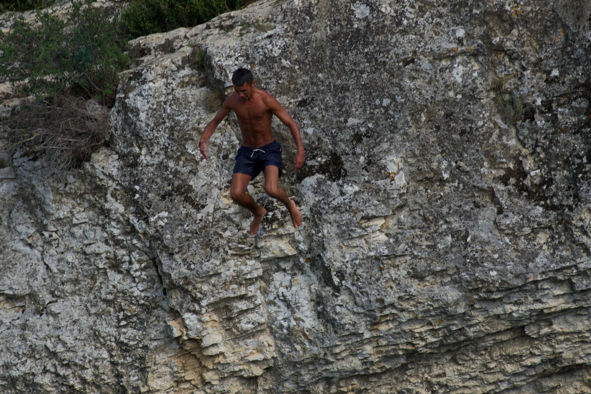 Saut