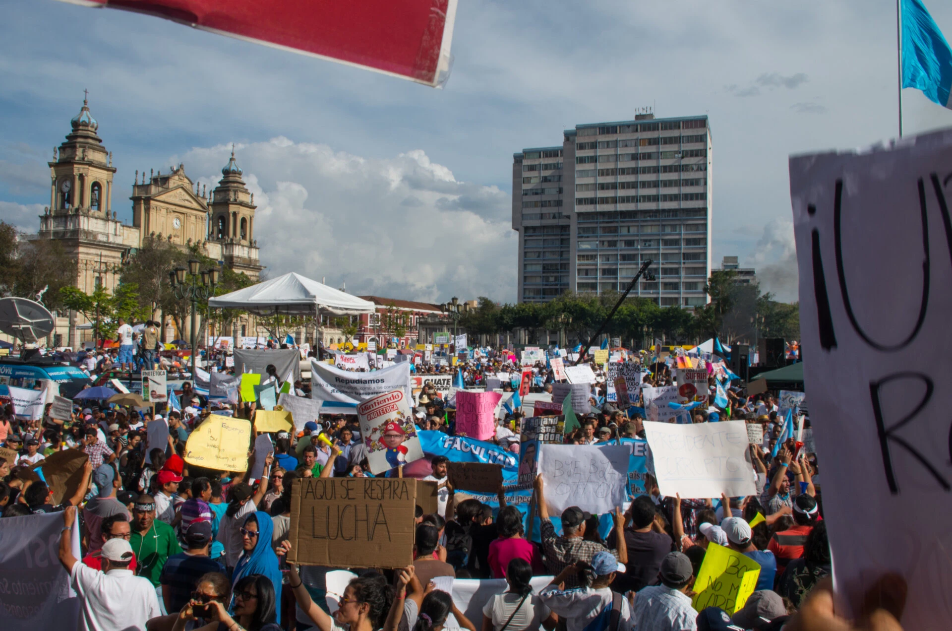 Lucha