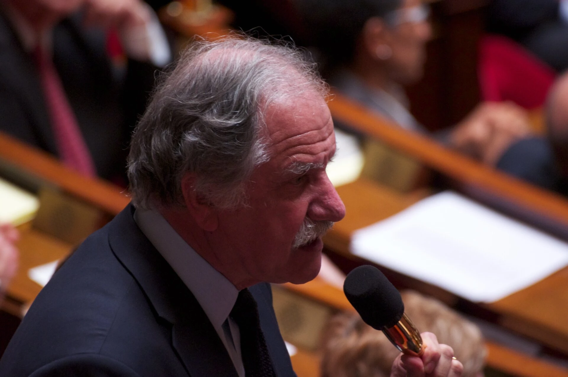 Noël Mamère