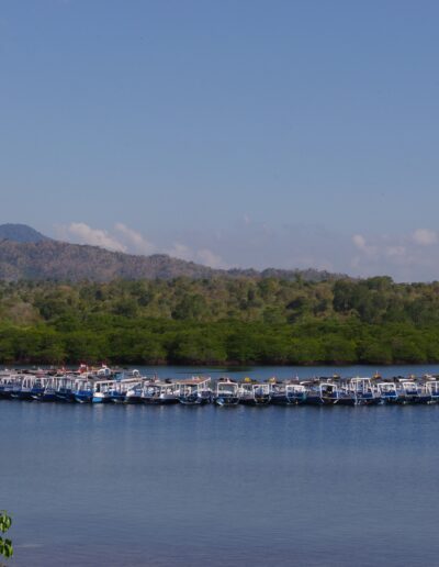 Fishermans Boats