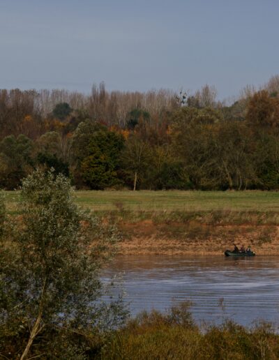 Chasseurs