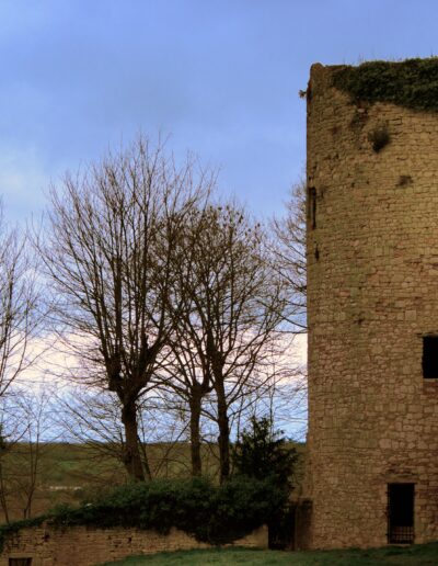 Vieilles pierres et verdure