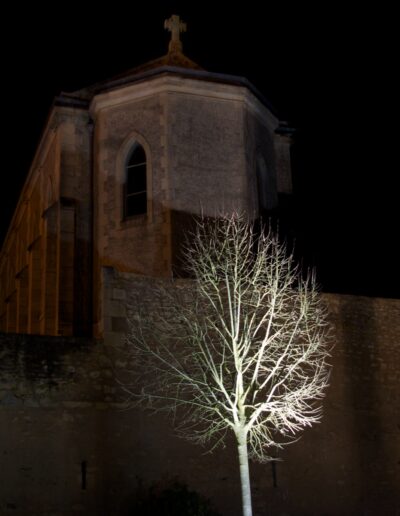 3 arbres