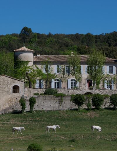Les 3 chevaux (château de Valfons)