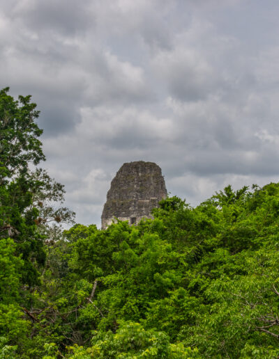 Templo V