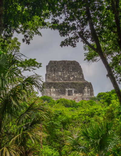 Templo IV