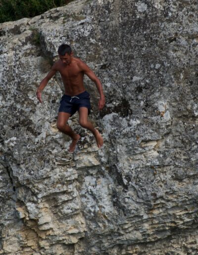 Saut