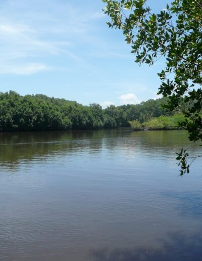 Los Rios