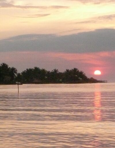Sleeping Sun